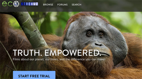 Ecostreamz - Gat a Free Trial