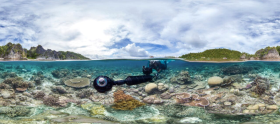 Chasing Coral