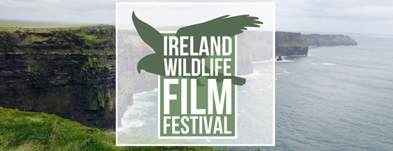 Ireland Wildlife Film Festival 2019 - Facebook