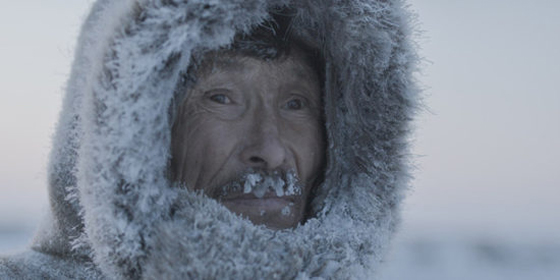 Wildlife Film Festival Rotterdam 2020 Nominees Announced - On Thin Ice