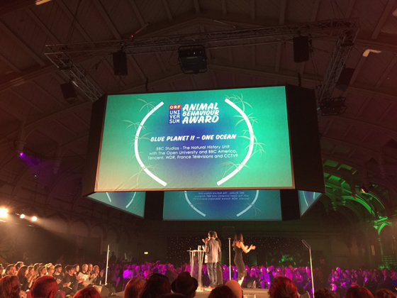 Wildscreen Festival 2018 - Pamda Awards