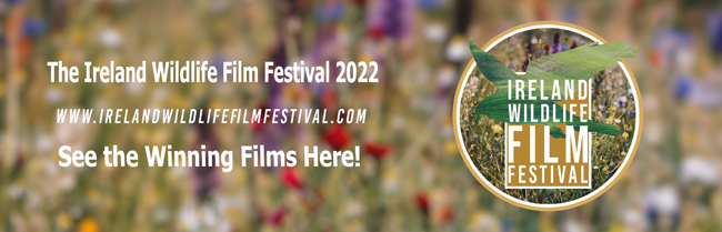 Ireland Wildlife Film Festival 2022